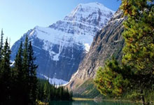 天才都孤僻高冷？No！你和天才的主要区别在这儿